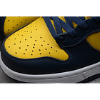 Dunk high michigan 6