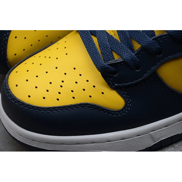 Dunk high michigan 6