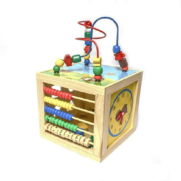 Motricidad Multifuncional Juguete Madera 1