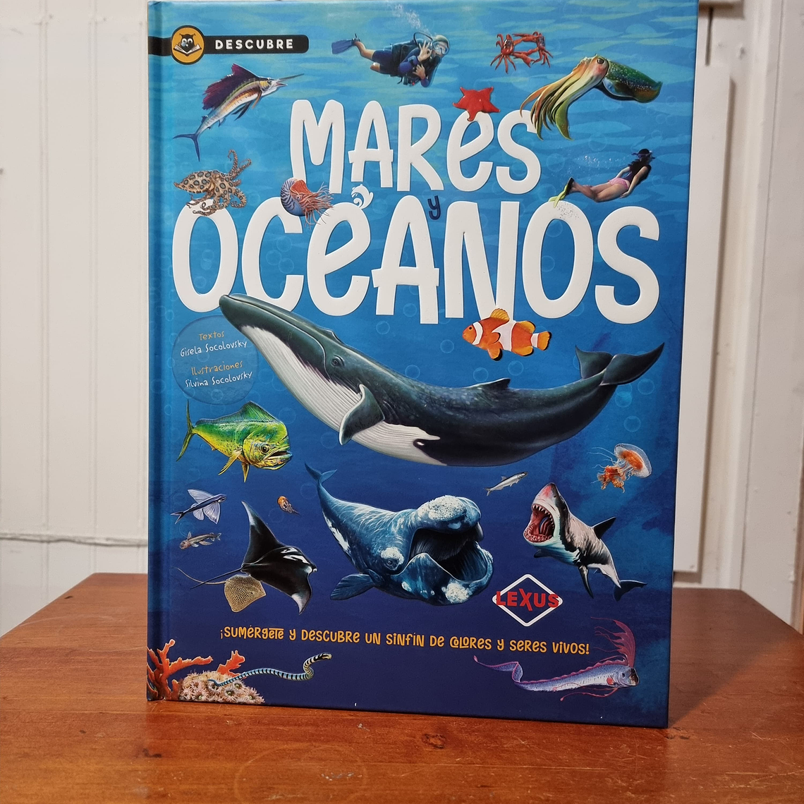 Mares y Océanos 1