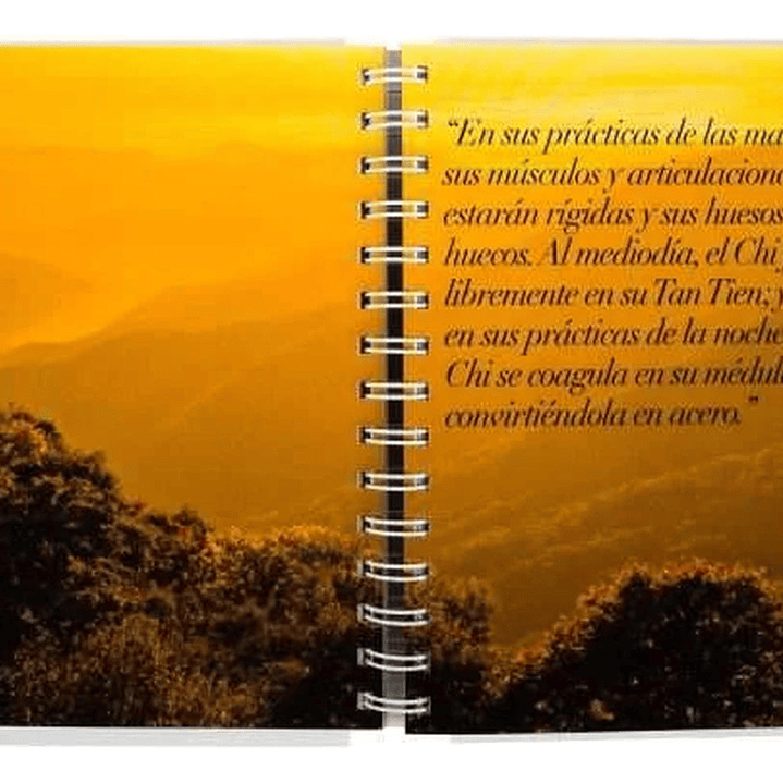 Libro Taichi Guía Práctica Tapa Dura 3