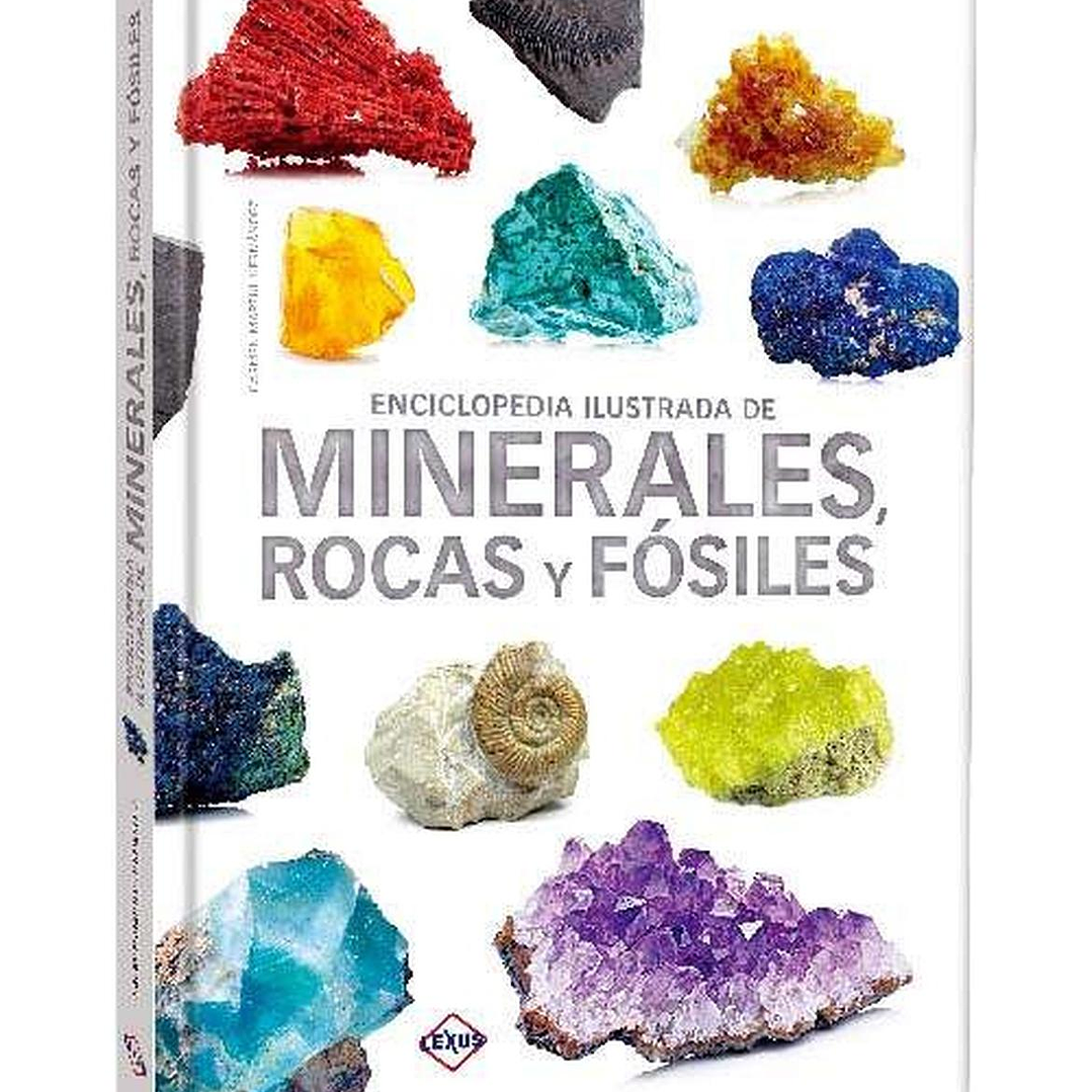 Enciclopedia Ilustrada De Minerales, Rocas Y Fósiles Lexus 1