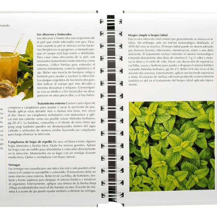 Libro Plantas Medicinales Guía Práctica Lexus 3