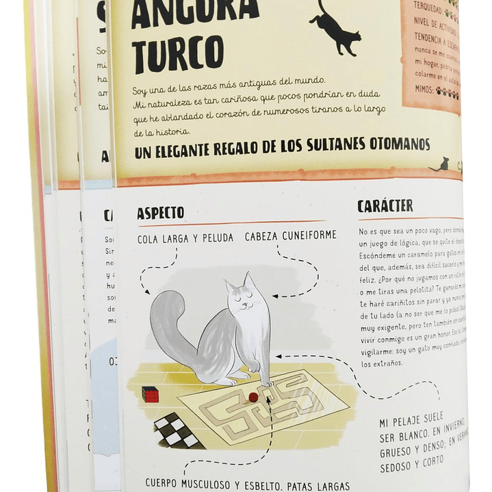 Atlas De Gatos Ilustrado Lexus (tapa Dura) 2