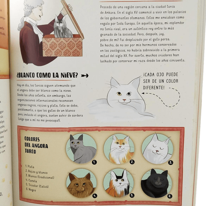 Atlas De Gatos Ilustrado Lexus (tapa Dura) 3