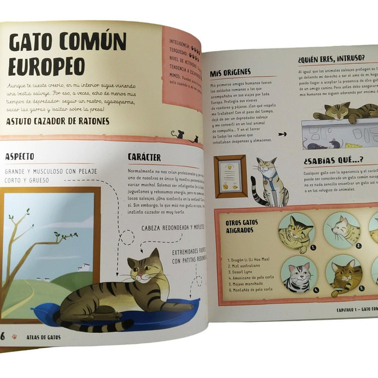 Atlas De Gatos Ilustrado 2