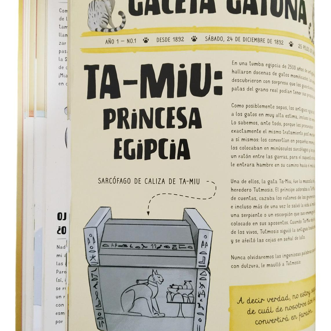 Atlas De Gatos Ilustrado Lexus (tapa Dura) 5