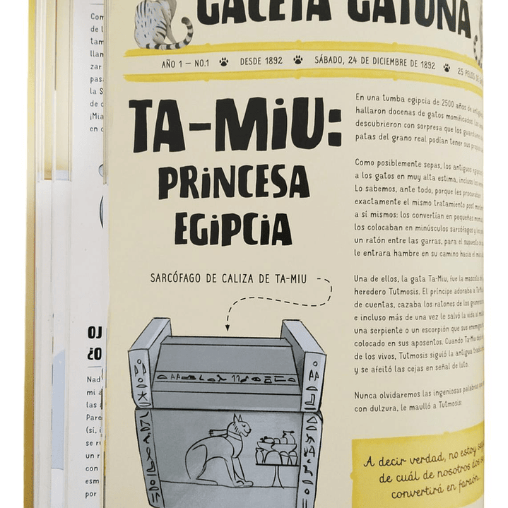 Atlas De Gatos Ilustrado Lexus (tapa Dura) 5