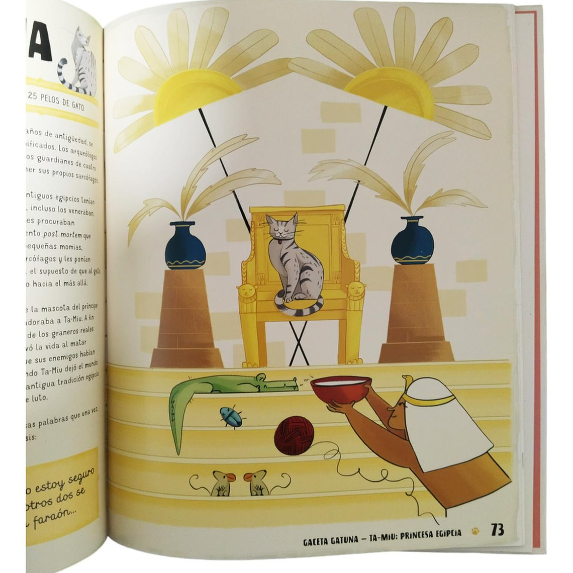 Atlas De Gatos Ilustrado 3