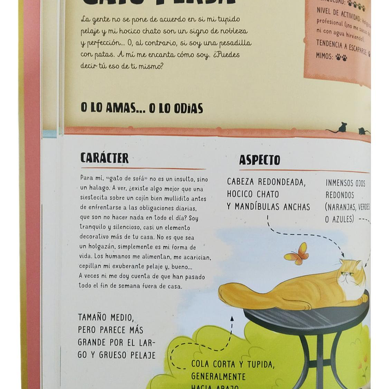 Atlas De Gatos Ilustrado 7