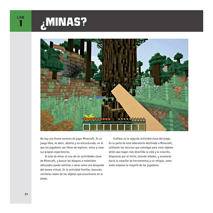 Libro Laboratorio Minecraft Para Niños 3