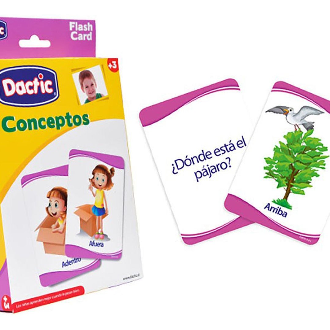 Láminas Conceptos Dactic 1