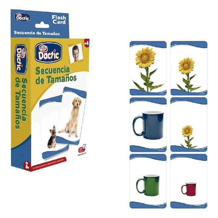 Láminas Secuencia De Tamaño Dactic 1