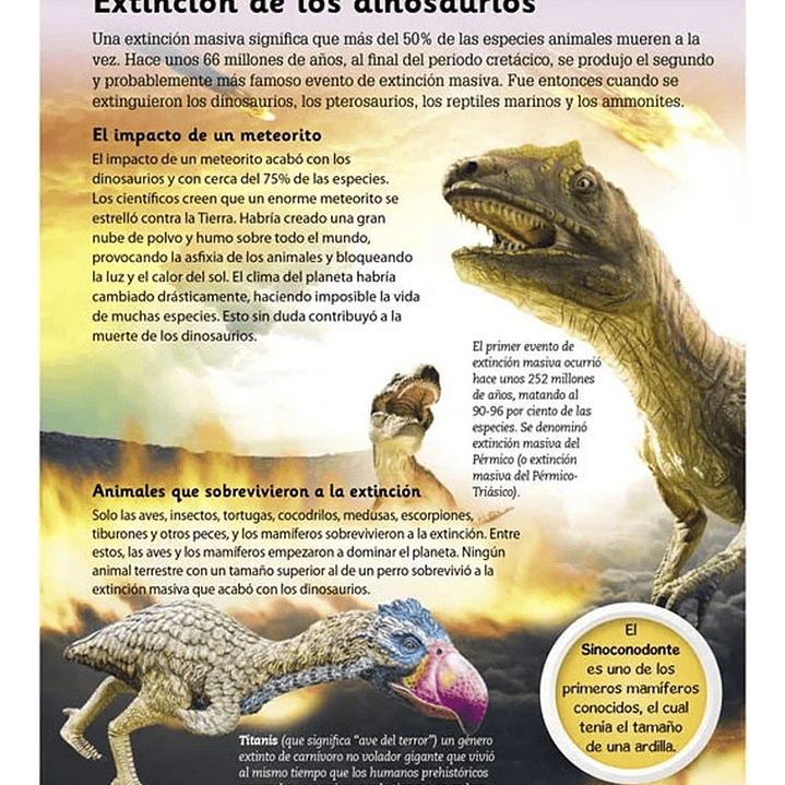 Enciclopedia Para Niños De Dinosaurios 2