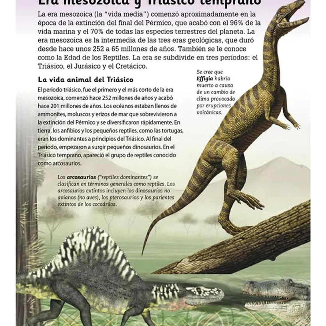 Enciclopedia Para Niños De Dinosaurios 3