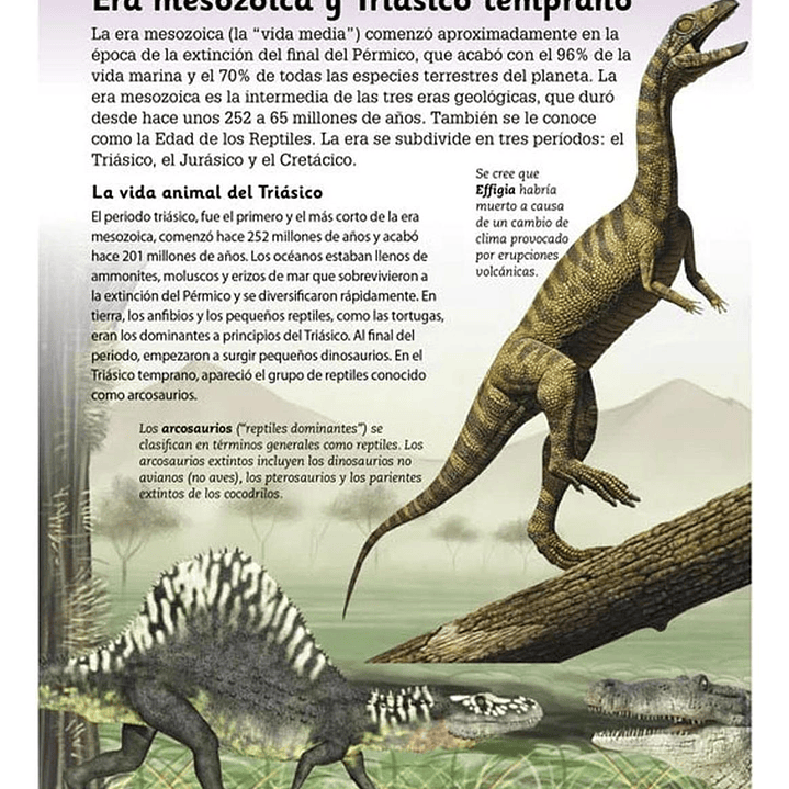 Enciclopedia Para Niños De Dinosaurios 3