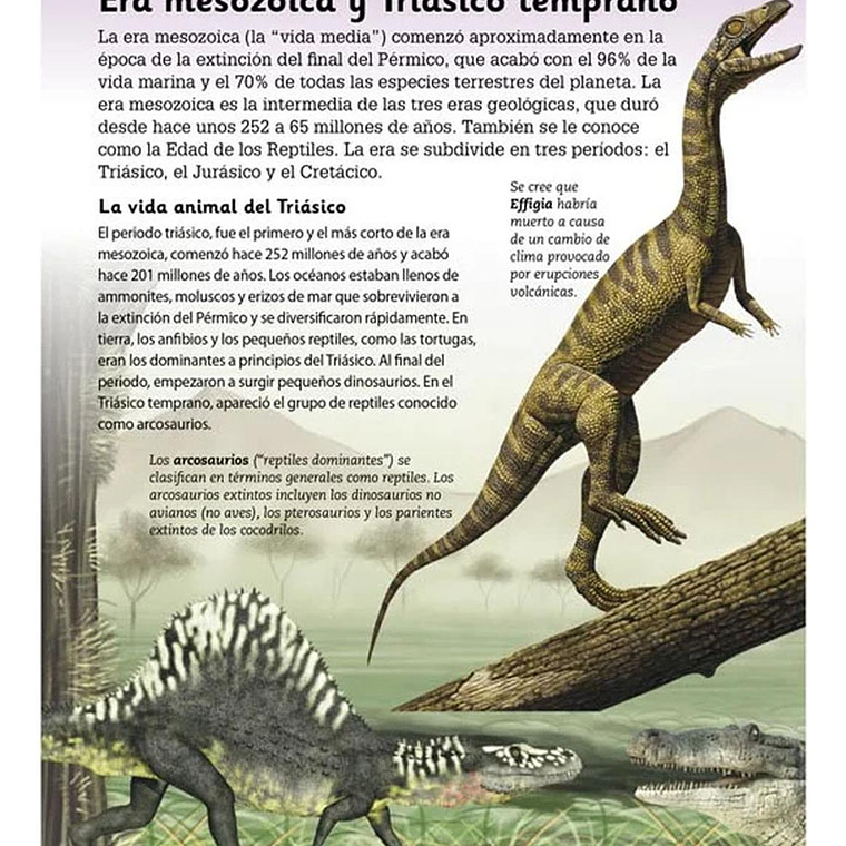 Enciclopedia Para Niños De Dinosaurios 3