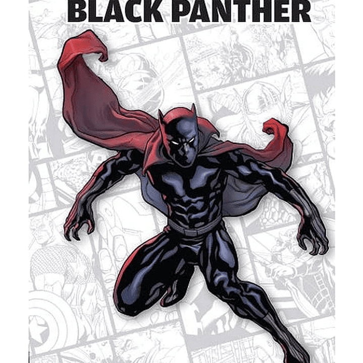 Black Panther - Cómic Marvel 1