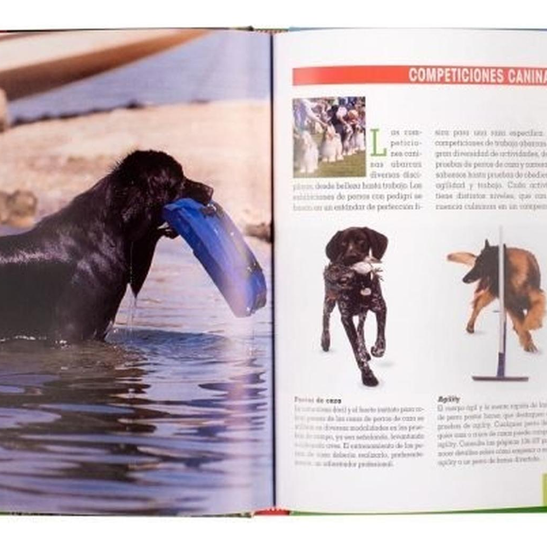 Manual Adiestramiento Canino Perros / Lexus 3