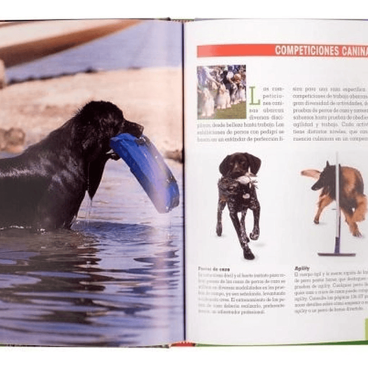 Manual Adiestramiento Canino Perros / Lexus 3