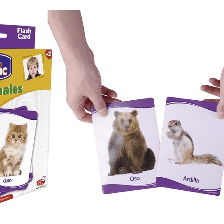 Láminas Animales Dactic Multicolor 1