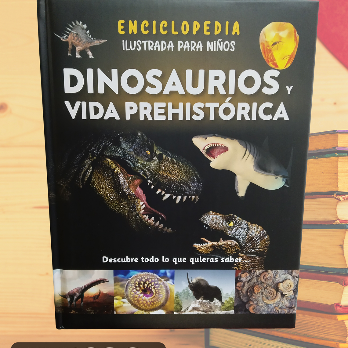Enciclopedia Para Niños De Dinosaurios 1