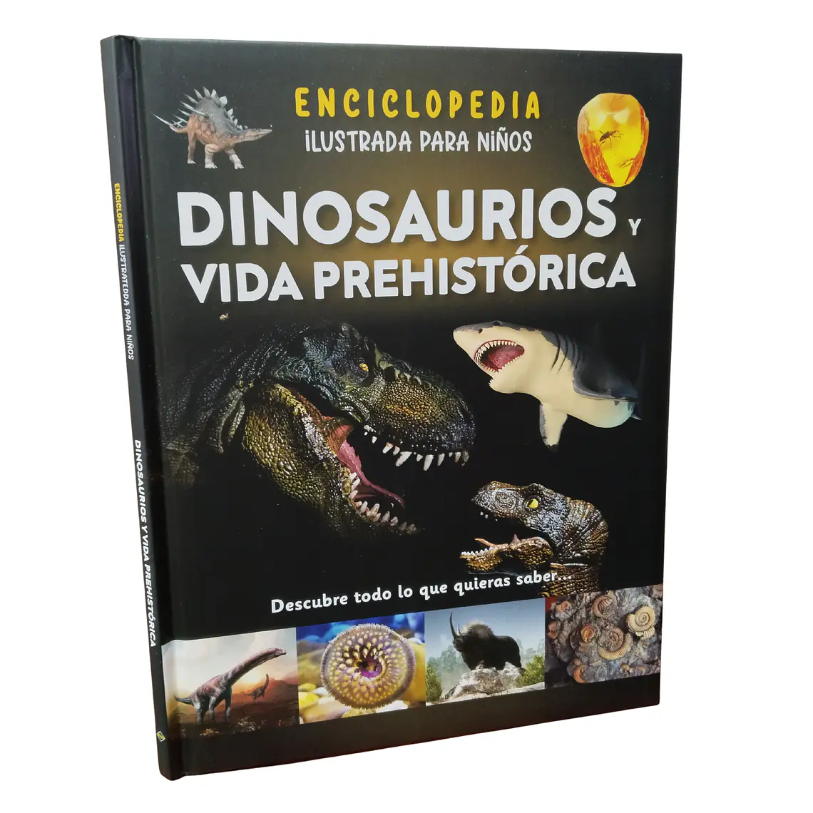 Enciclopedia Para Niños De Dinosaurios 1