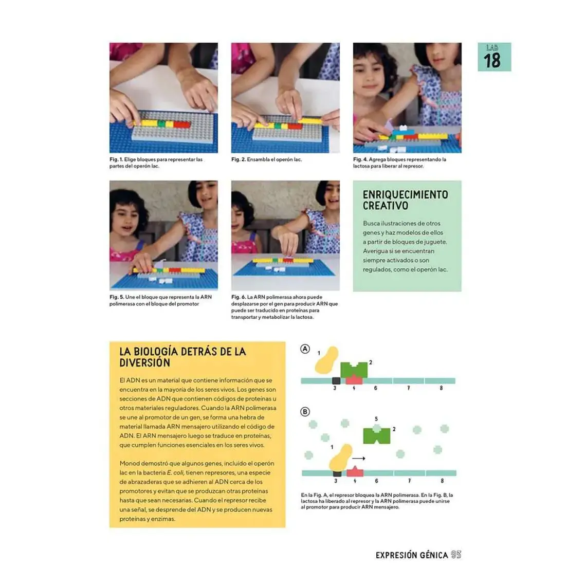 Biología para Niños 2