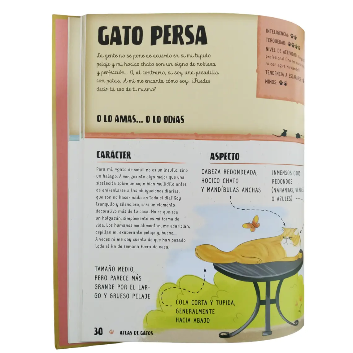 Atlas De Gatos Ilustrado 2