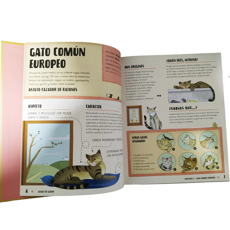 Atlas De Gatos Ilustrado 5