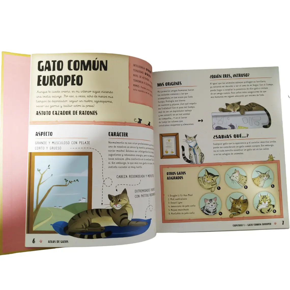 Pack Atlas de Perros + Atlas de Gatos 4