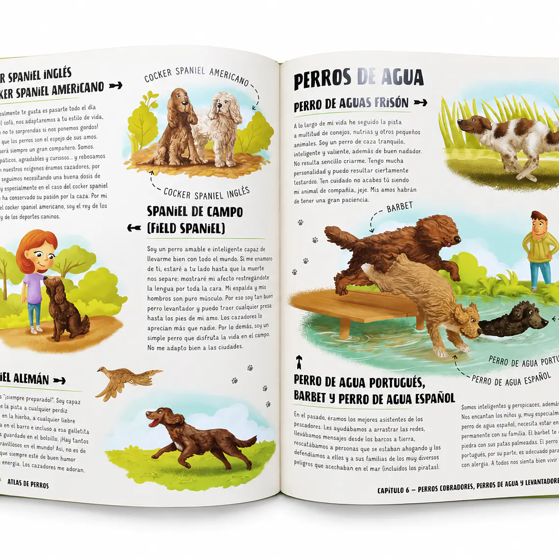 Atlas De Perros Ilustrado 2