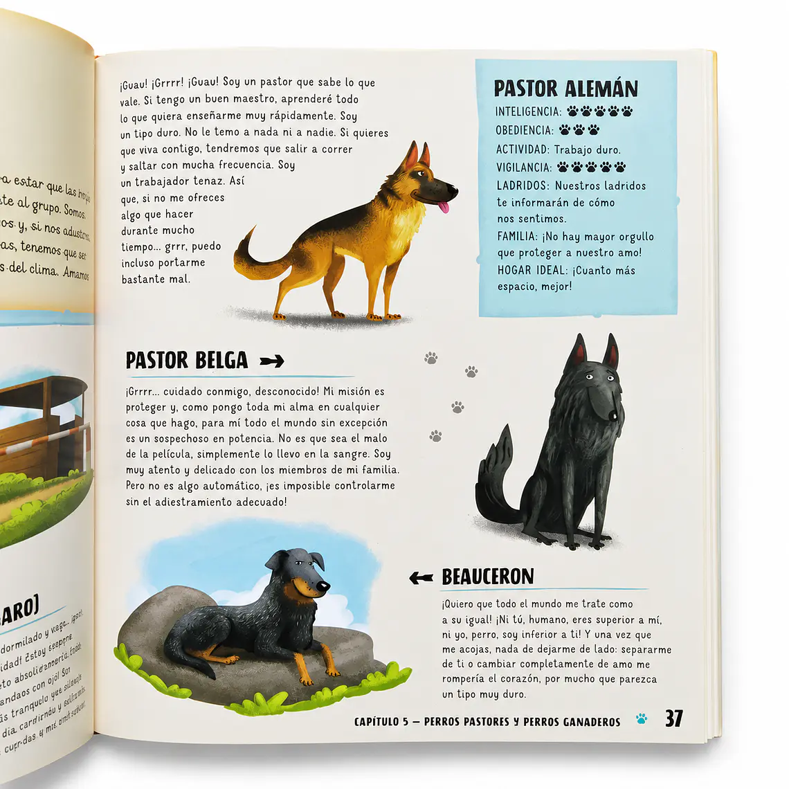 Atlas De Perros Ilustrado 4