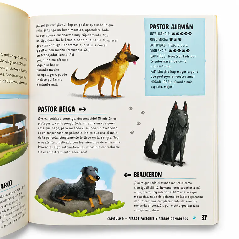 Atlas De Perros Ilustrado 4