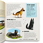 Atlas De Perros Ilustrado - Miniatura 4