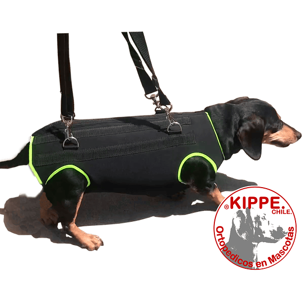 Body´s Ortopedico para Perros KIPPE.