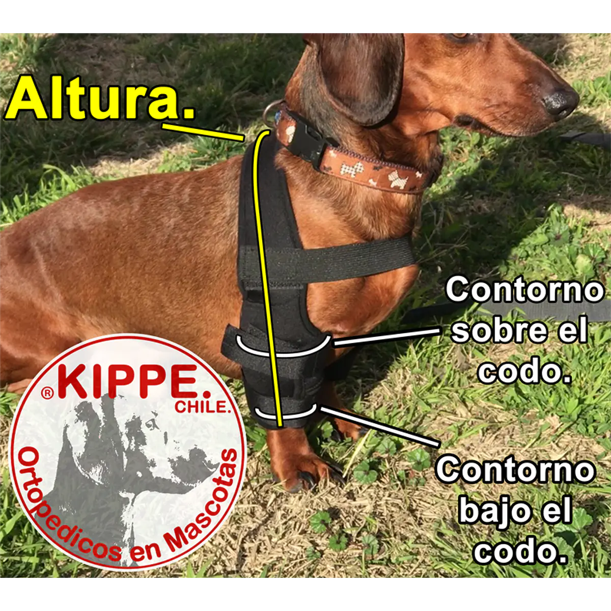 ORTESIS DE CODO PARA PERROS KIPPE