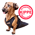 Saquito de Arrastre para Perros. 1