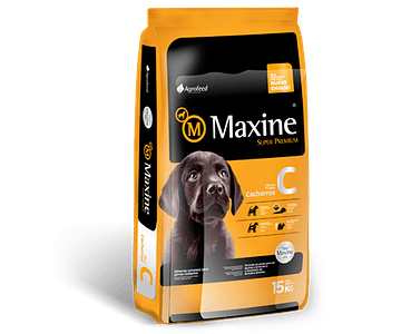 MAXINE CACHORRO 21 KILOS
