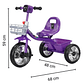 Triciclo Infantil Bici Musical Con Canasto y Respaldo Morado - Miniatura 7
