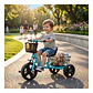 Triciclo Infantil Bici Canasto Metalico  Azul - Miniatura 2