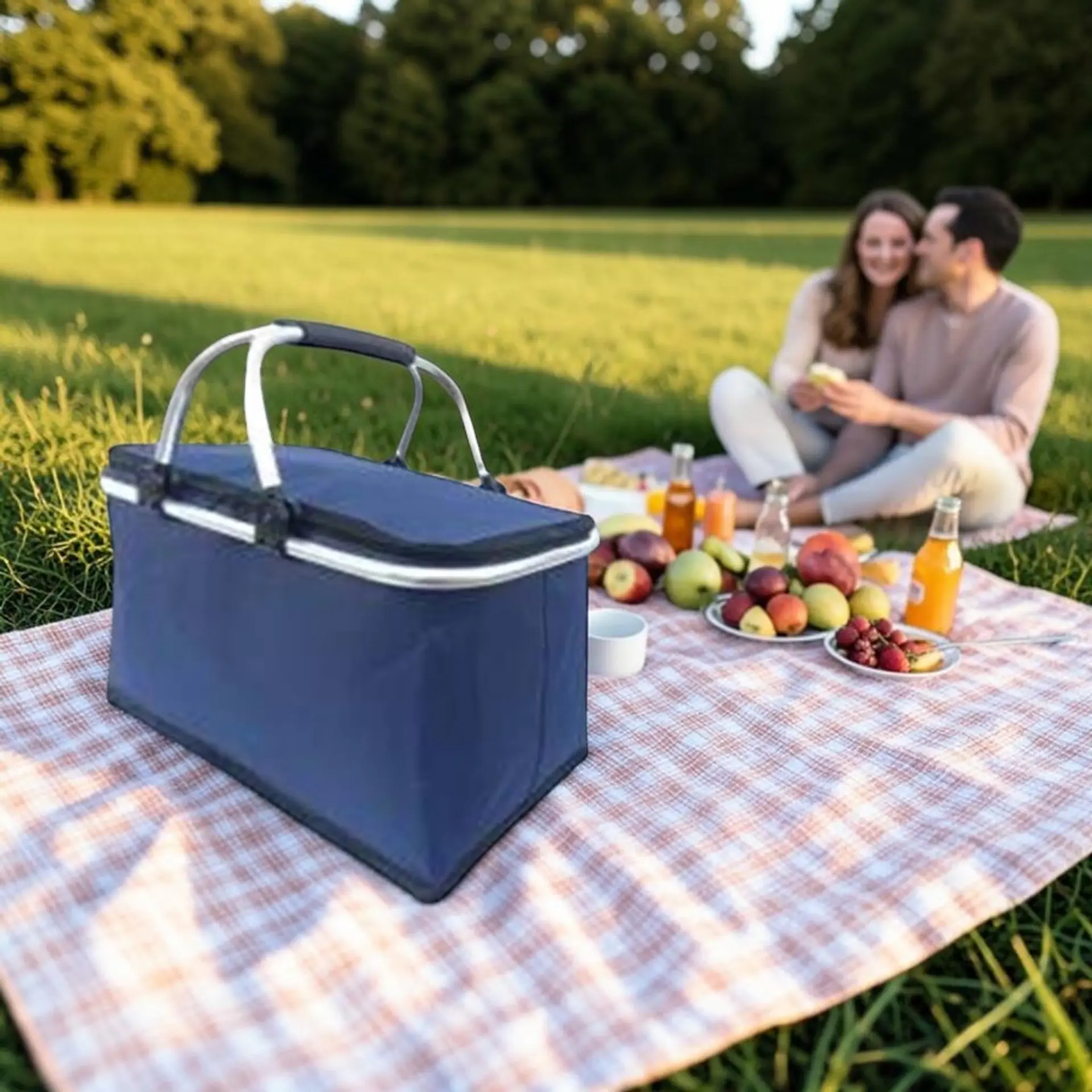 Bolso Termico Plegable Azul Cooler Canasta Picnic 2