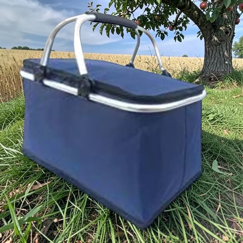 Bolso Termico Plegable Azul Cooler Canasta Picnic 4