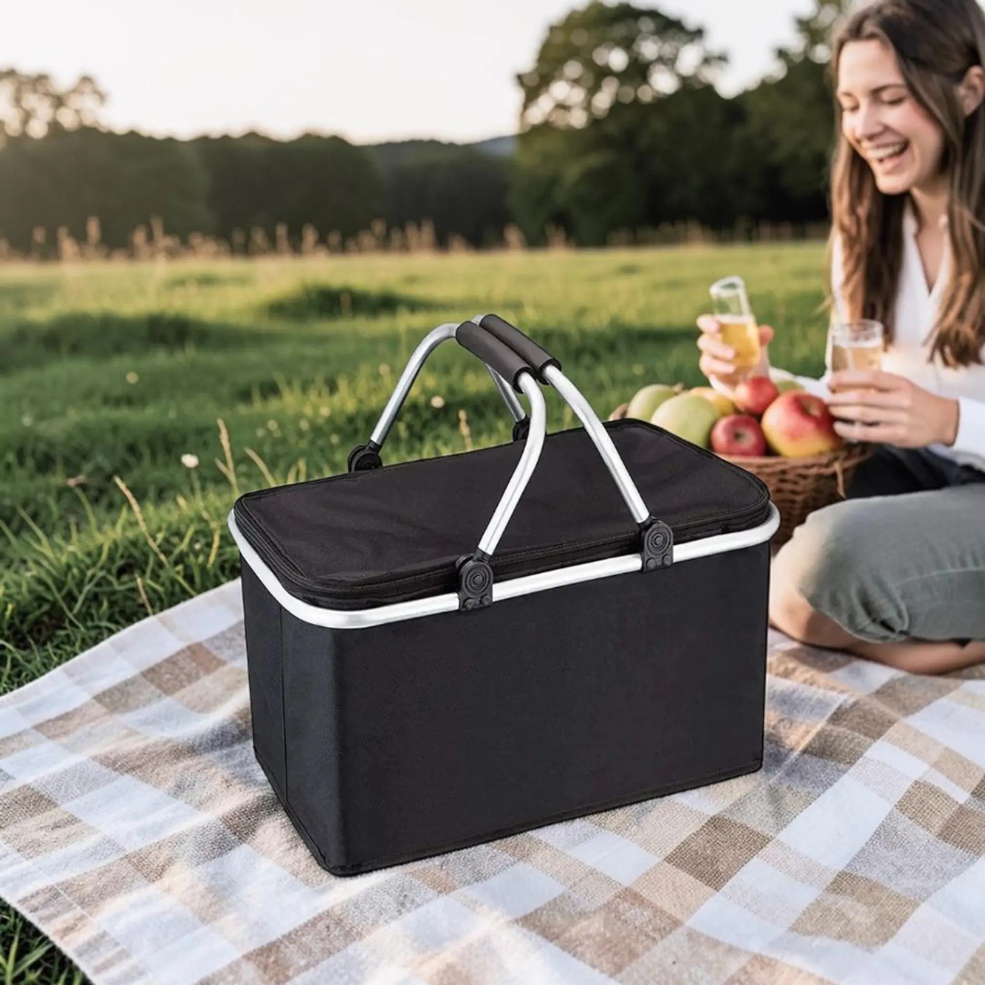 Bolso Termico Plegable Negro Cooler Canasta Picnic 9