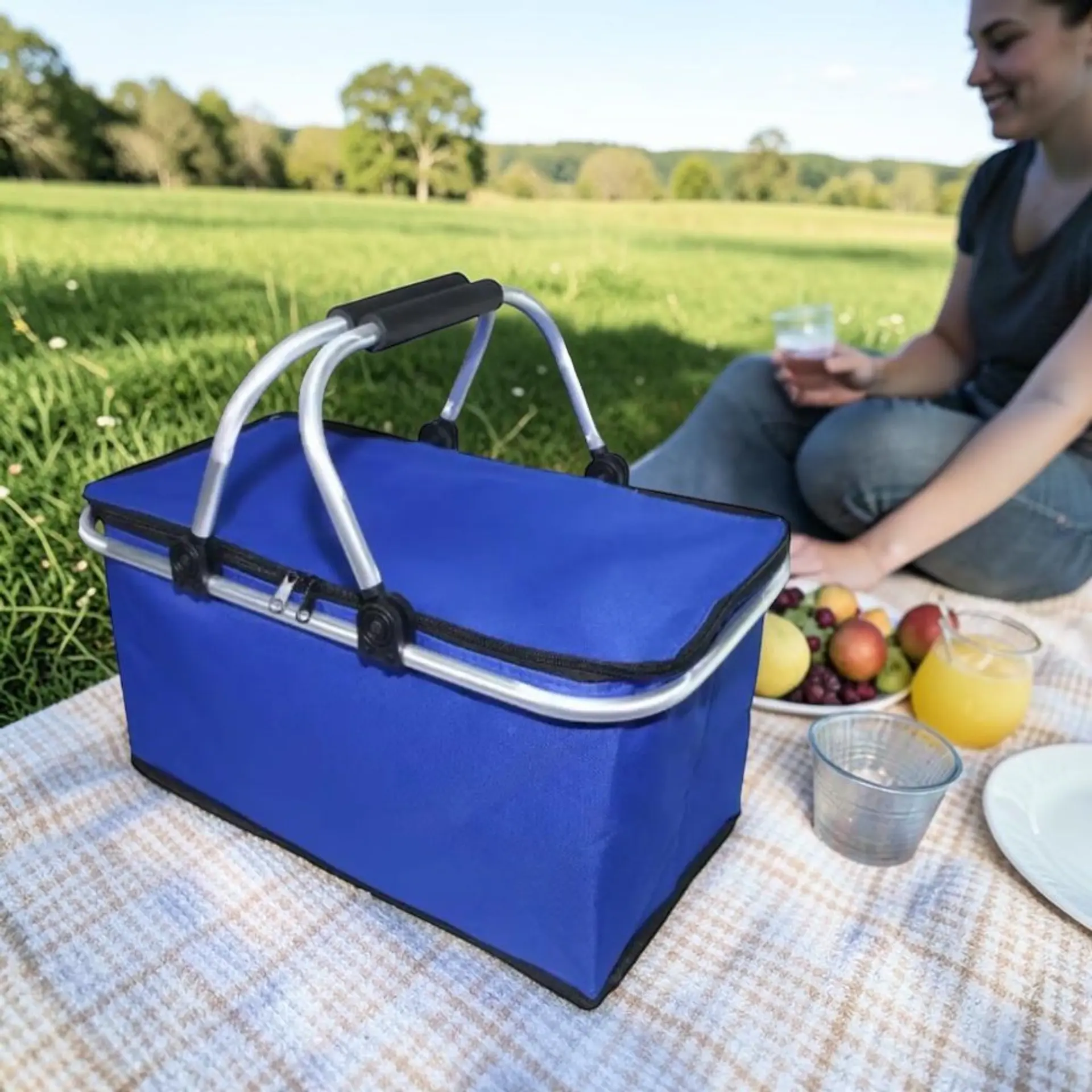 Bolso Termico Plegable Azul Rey Cooler Canasta Picnic 8
