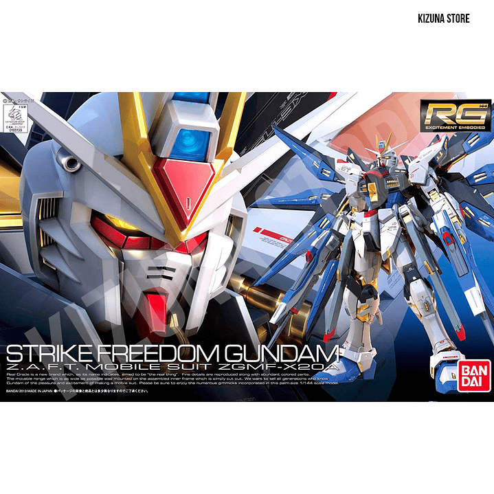 #14 RG Strike Freedom 1