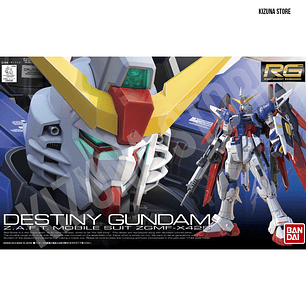 #11 RG Destiny Gundam