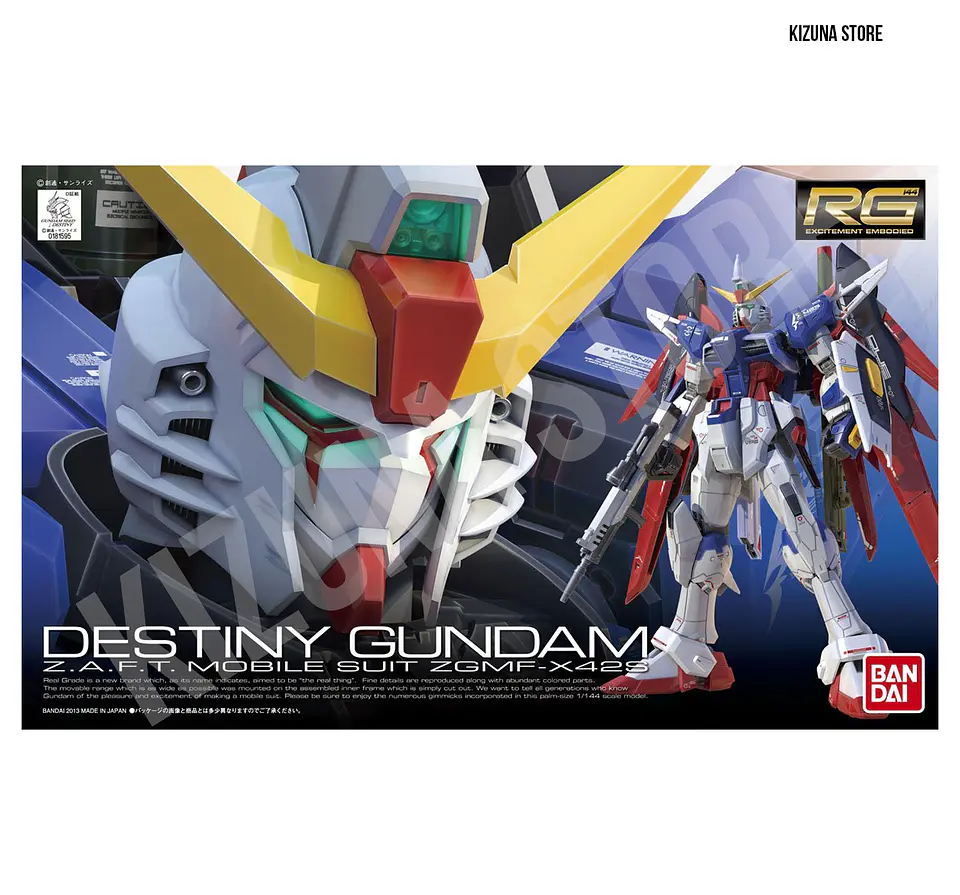 RG Destiny Gundam #11  2