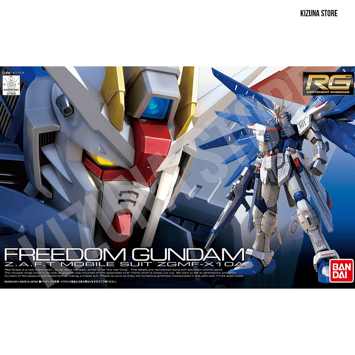 #05 RG Freedom Gundam 1