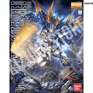 MG Gundam Astray Blue Frame D